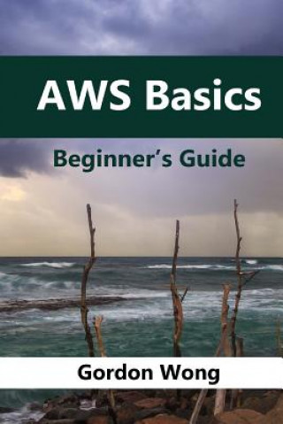 Knjiga AWS Basics: Beginners Guide Gordon Wong