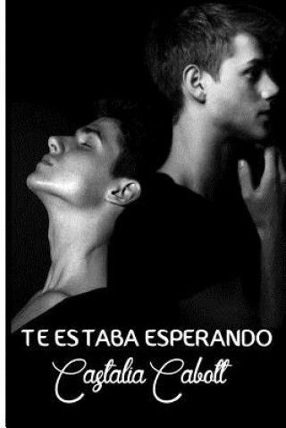 Book Te estaba esperando Castalia Cabott