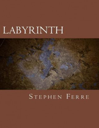 Book Labyrinth Stephen Ferre