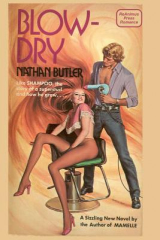 Livre Blowdry Nathan Butler