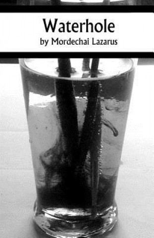 Boek Waterhole Mordechai Lazarus
