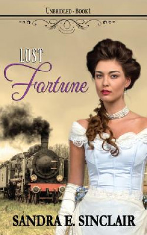 Book Lost Fortune Sandra E Sinclair