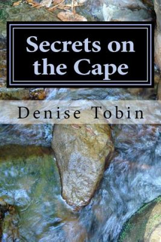 Knjiga Secrets on the Cape Denise Tobin