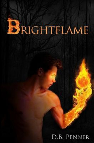Knjiga Brightflame D B Penner