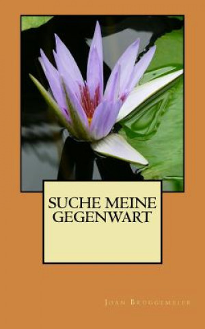 Könyv Suche Meine Gegenwart Joan Brueggemeier