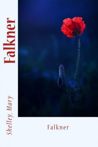 Βιβλίο Falkner Shelley Mary