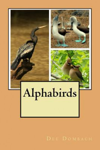 Knjiga Alphabirds Dee Dombach