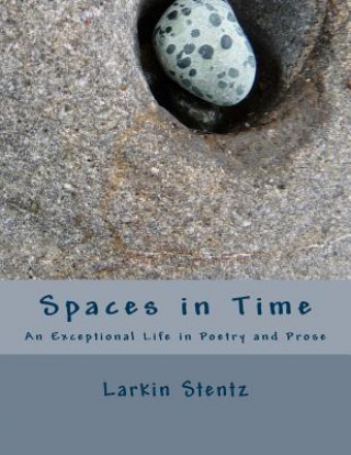 Boek Spaces in Time MR Larkin Stentz