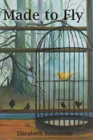 Boek Made to Fly Elizabeth Johnstone