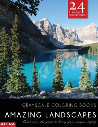 Carte Amazing Landscapes: Grayscale coloring books: Color over the gray to bring your images lifely with 24 stunning grayscale images Alena