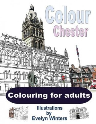 Boek Colour Chester Evelyn Winters