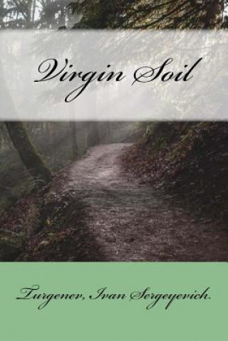 Buch Virgin Soil Turgenev Ivan Sergeyevich