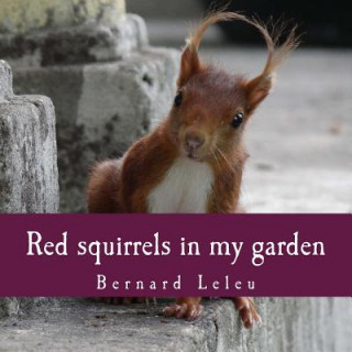 Könyv Red squirrels in my garden Bernard Leleu
