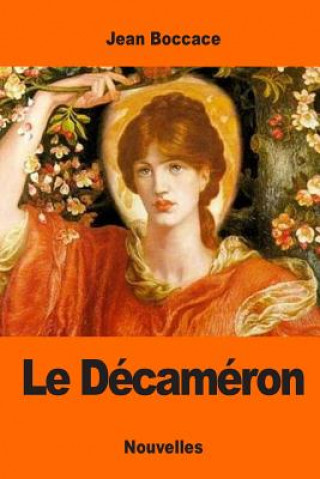 Boek Le Décaméron Jean Boccace