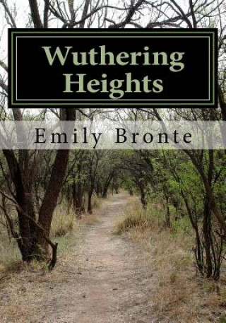 Kniha Wuthering Heights Emily Bronte