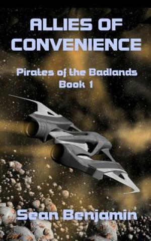 Книга Allies of Convenience Sean Benjamin