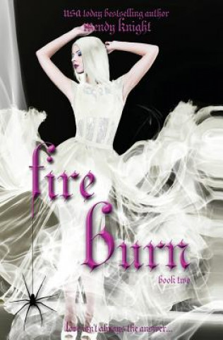 Kniha Fire Burn Wendy Knight