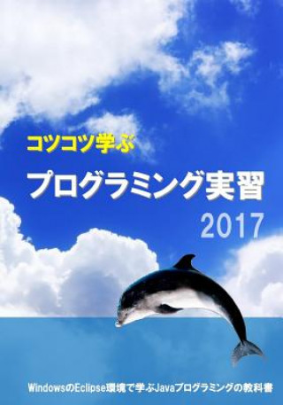 Boek Study Steadily Java Programming Practice 2017 Masashi Emoto