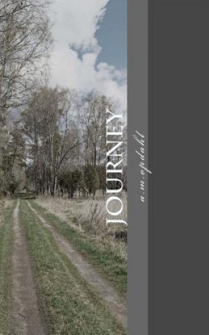 Boek Journey Alison M Opdahl