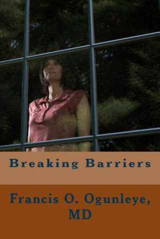 Knjiga Breaking Barriers Francis O Ogunleye