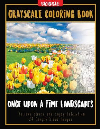 Knjiga Once Upon A Time Landscapes: Grayscale Coloring Book Relieve Stress and Enjoy Relaxation 24 Single Sided Images Victoria