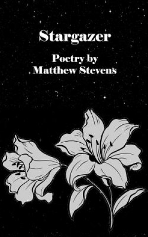 Buch Stargazer Matthew Stevens