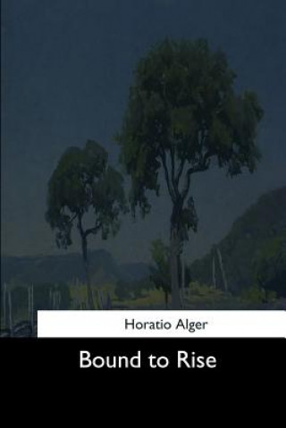 Buch Bound to Rise Horatio Alger