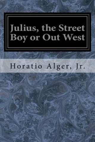 Książka Julius, the Street Boy or Out West Jr Horatio Alger