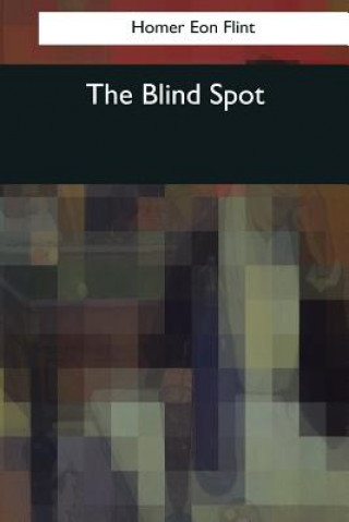 Kniha The Blind Spot Homer Eon Flint