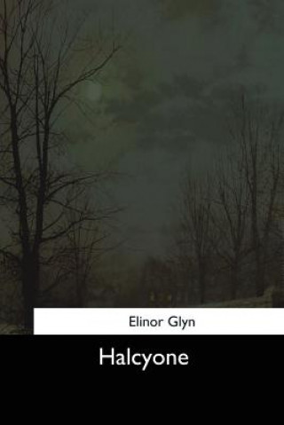 Boek Halcyone Elinor Glyn