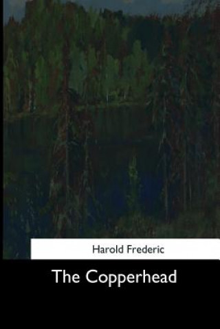 Book The Copperhead Harold Frederic