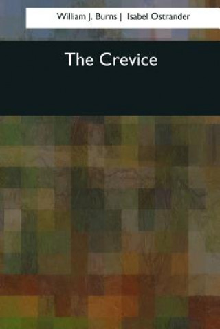 Livre The Crevice William J Burns