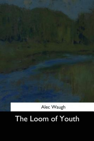 Книга The Loom of Youth Alec Waugh