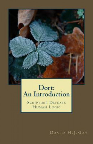 Knjiga Dort: An Introduction: Scripture Defeats Human Logic David H J Gay
