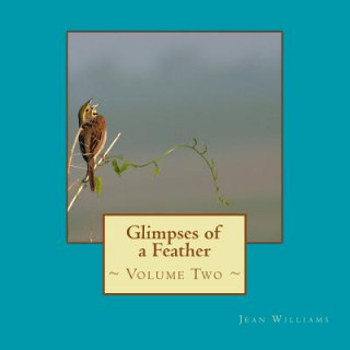 Βιβλίο Glimpses of a Feather - Volume Two Jean Williams