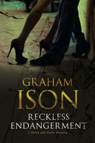 Kniha Reckless Endangerment Graham Ison