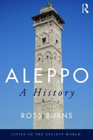 Carte Aleppo BURNS