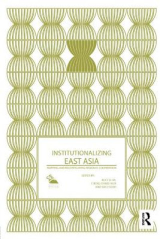 Kniha Institutionalizing East Asia 