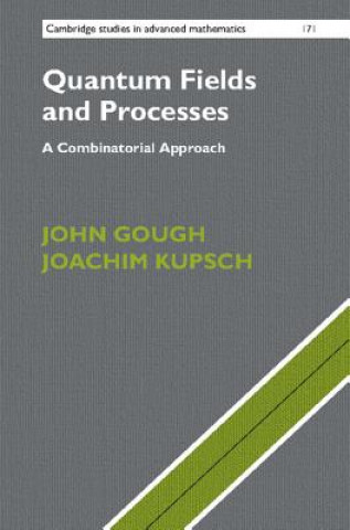 Knjiga Quantum Fields and Processes GOUGH  JOHN