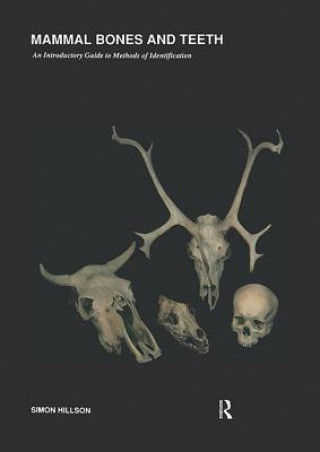Könyv Mammal Bones and Teeth Simon Hillson