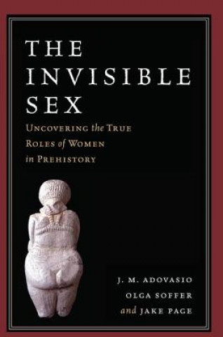 Książka Invisible Sex J. M. Adovasio