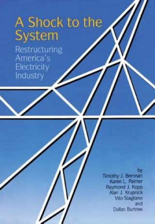 Книга Shock to the System Timothy J. Brennan