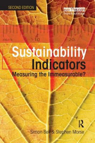 Könyv Sustainability Indicators Simon Bell