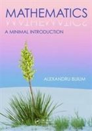 Buch Mathematics Alexandru Buium