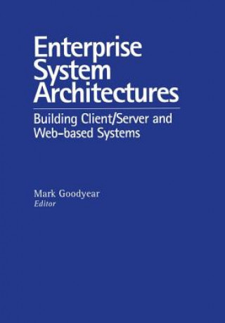 Könyv Enterprise System Architectures 
