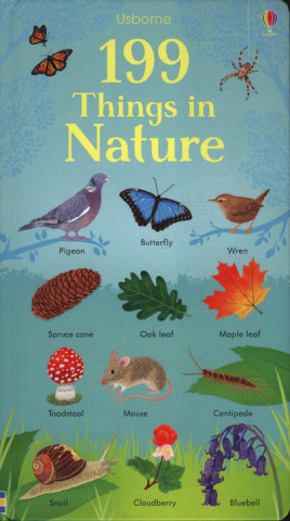 Książka 199 Things in Nature HANNAH WATSON