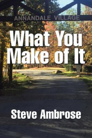 Βιβλίο What You Make of It STEVE AMBROSE