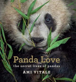 Könyv Panda Love VITALE AMI
