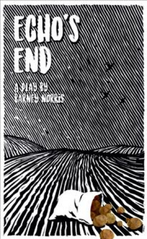 Kniha Echo's End Barney Norris