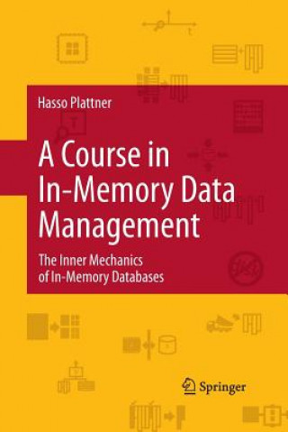Kniha Course in In-Memory Data Management Hasso Plattner